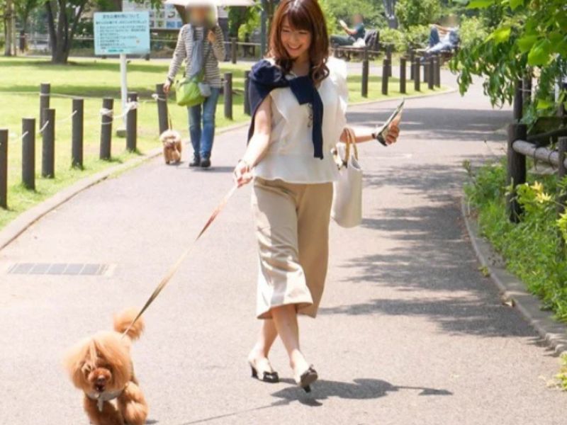 【人妻レイプ】『まさかウチの犬が…』セレブな生活から一転！愛犬が事故を起こしてしまい被害者からスケベな事を…■加藤あやの